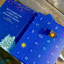 Load image into Gallery viewer, 2025 Advent Calendar Preorder